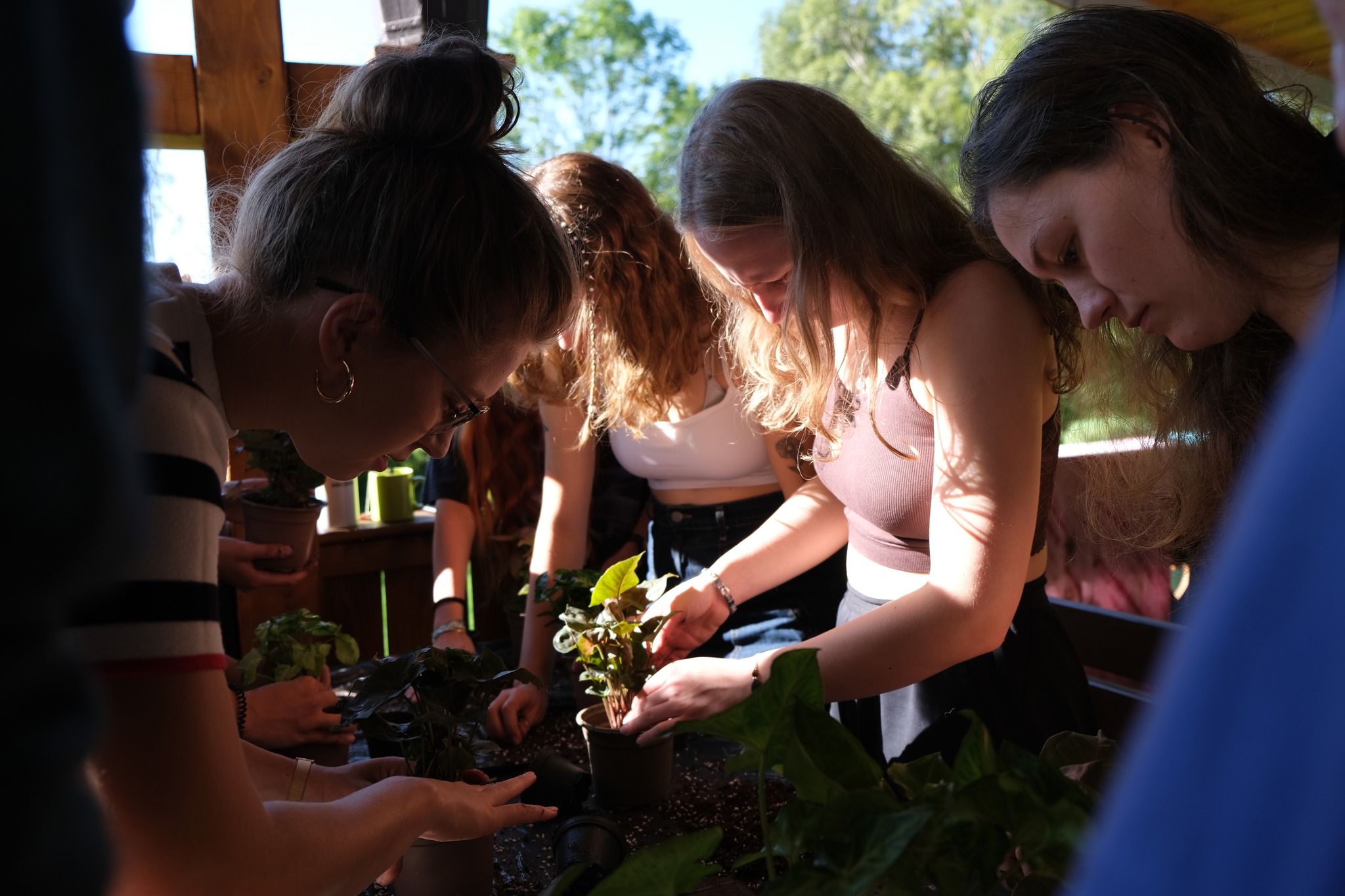 Transylvanian Youth Center - support us